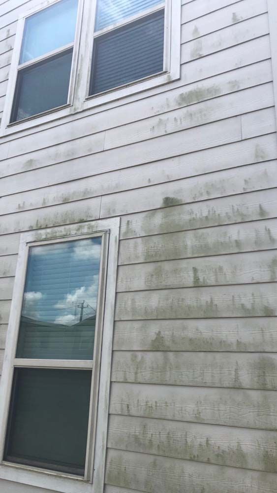 White house siding with green mildew stains and two windows reflecting clouds.