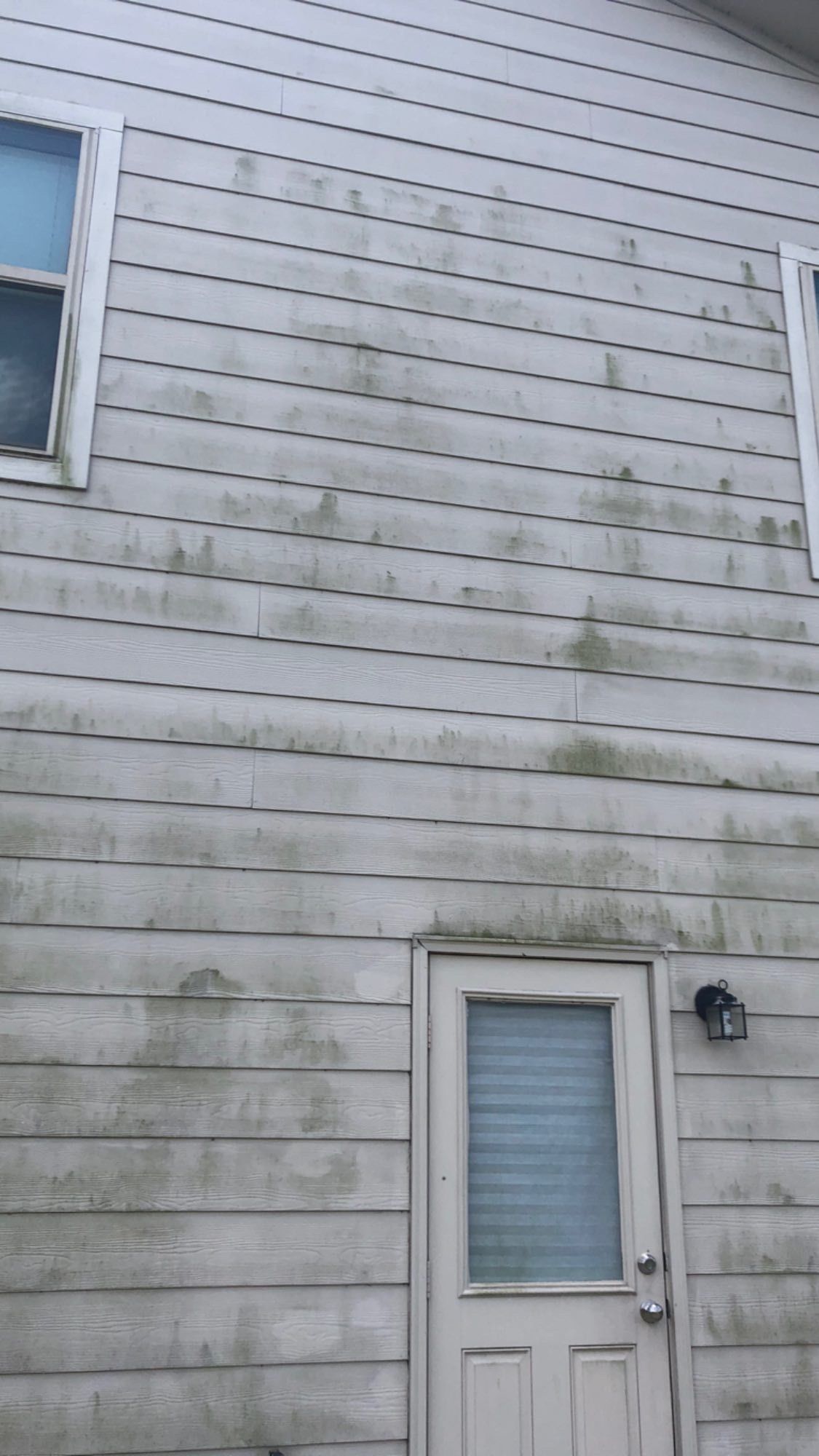 Mold-streaked white vinyl siding on a house with a small door and window.