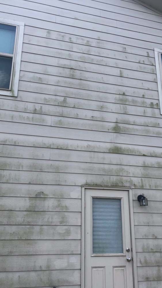 White house siding with a small door and window, showing greenish streaks and weathering.
