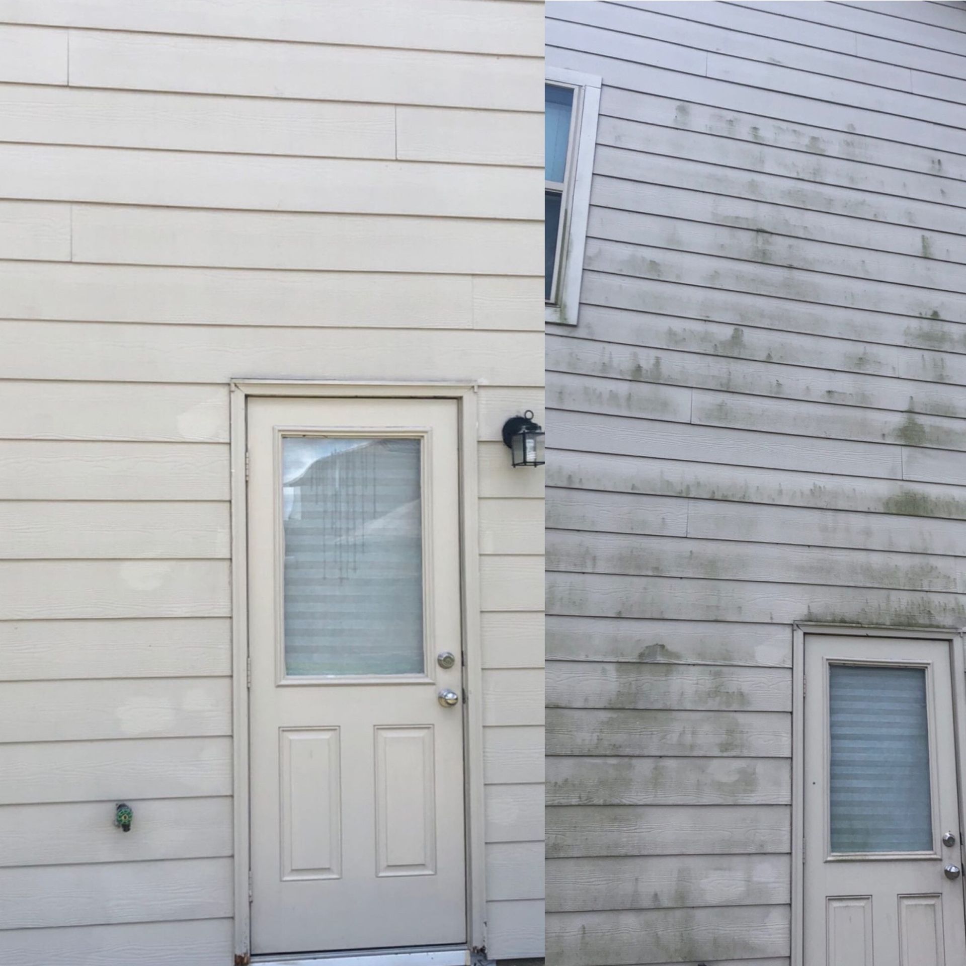 Two white house doors on light siding, with a wall-mounted light between them.