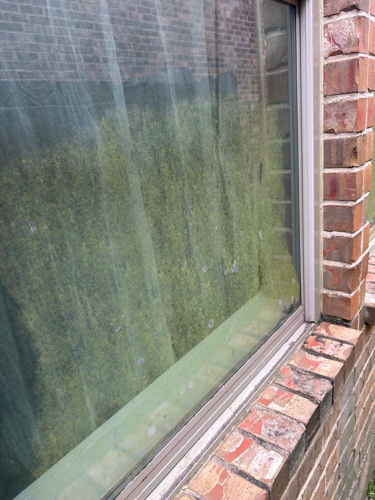 Close-up of a dirty window with green algae streaks and a brick sill beside a brick wall