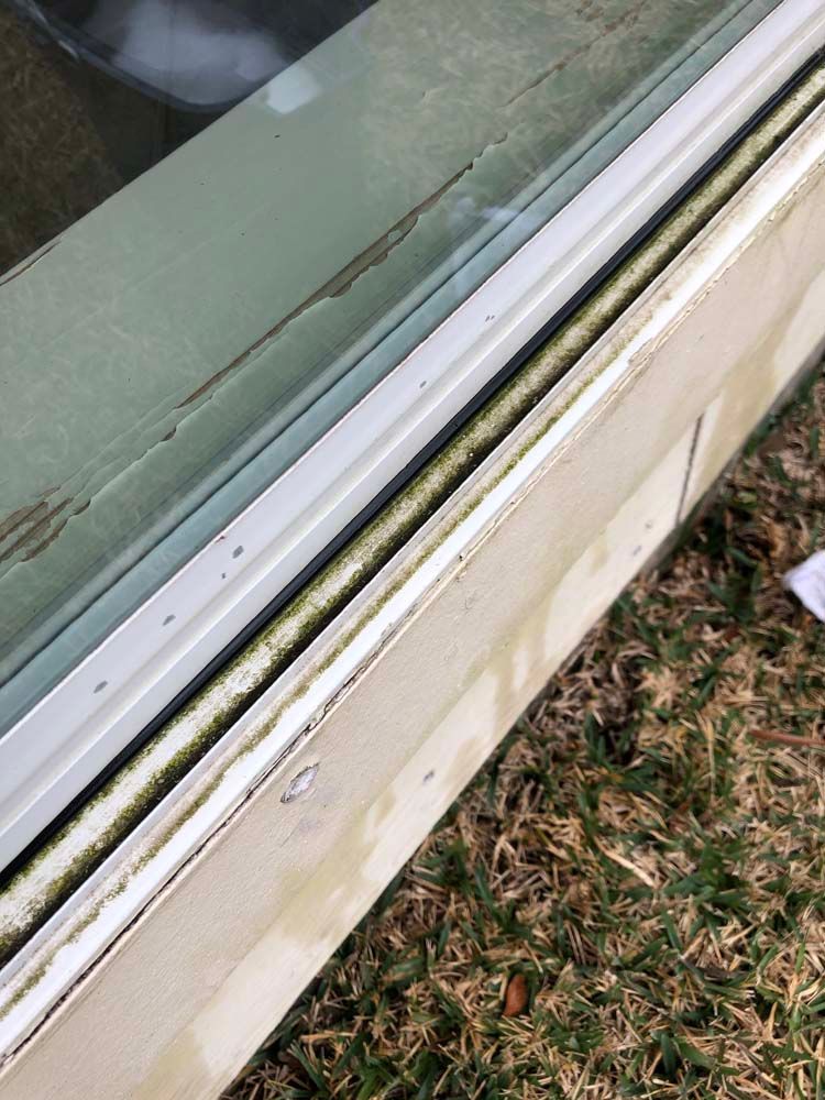 Close-up of a worn white window frame with peeling paint and a cracked glass edge over grass.