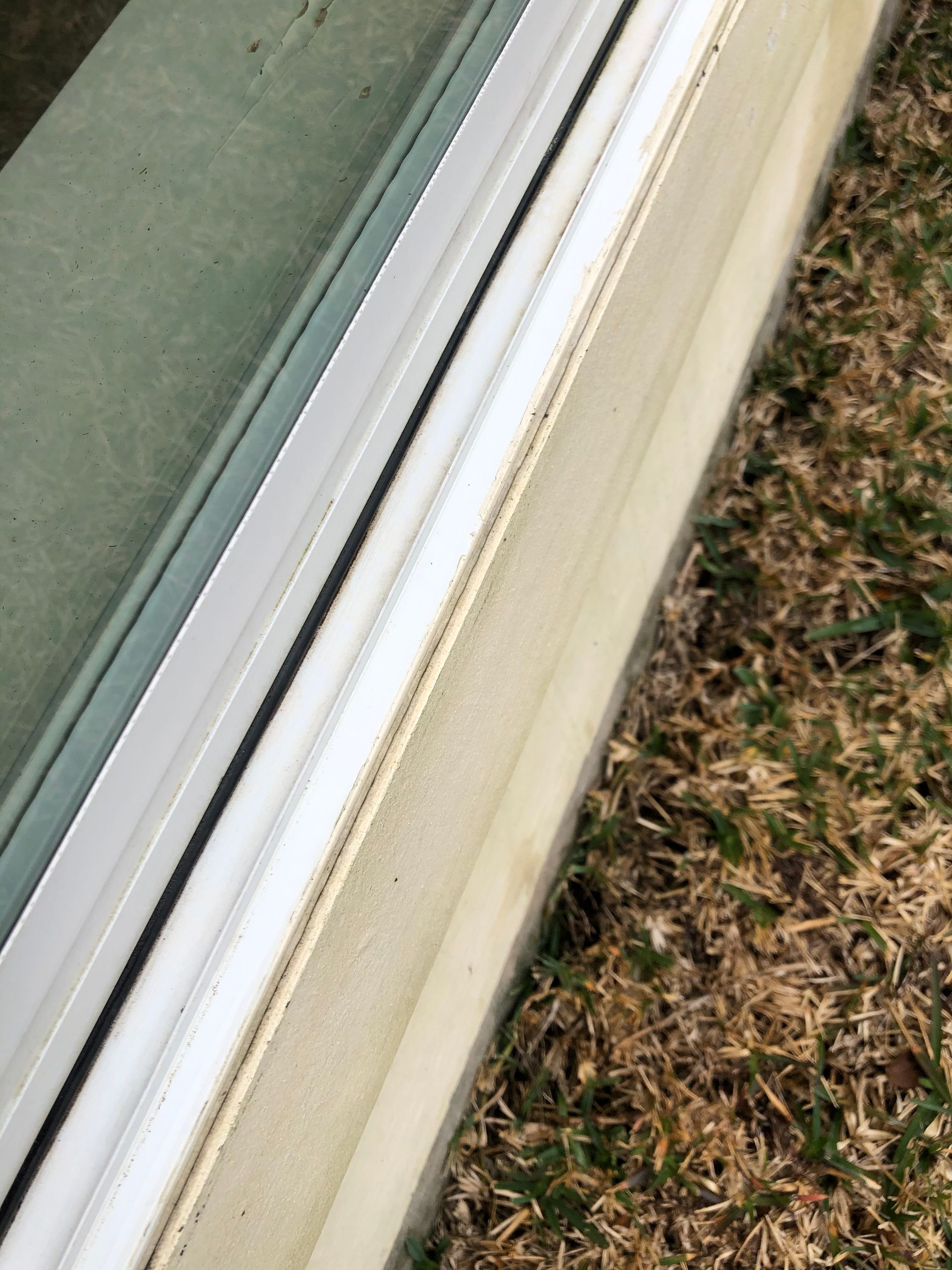 Close-up of a white window frame beside green-brown grass and a beige wall