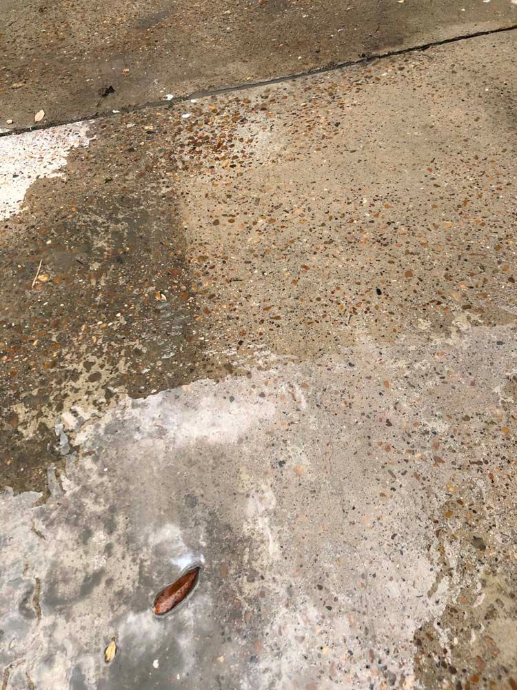 Wet concrete ground with a small brown leaf and a dark damp patch near the top left