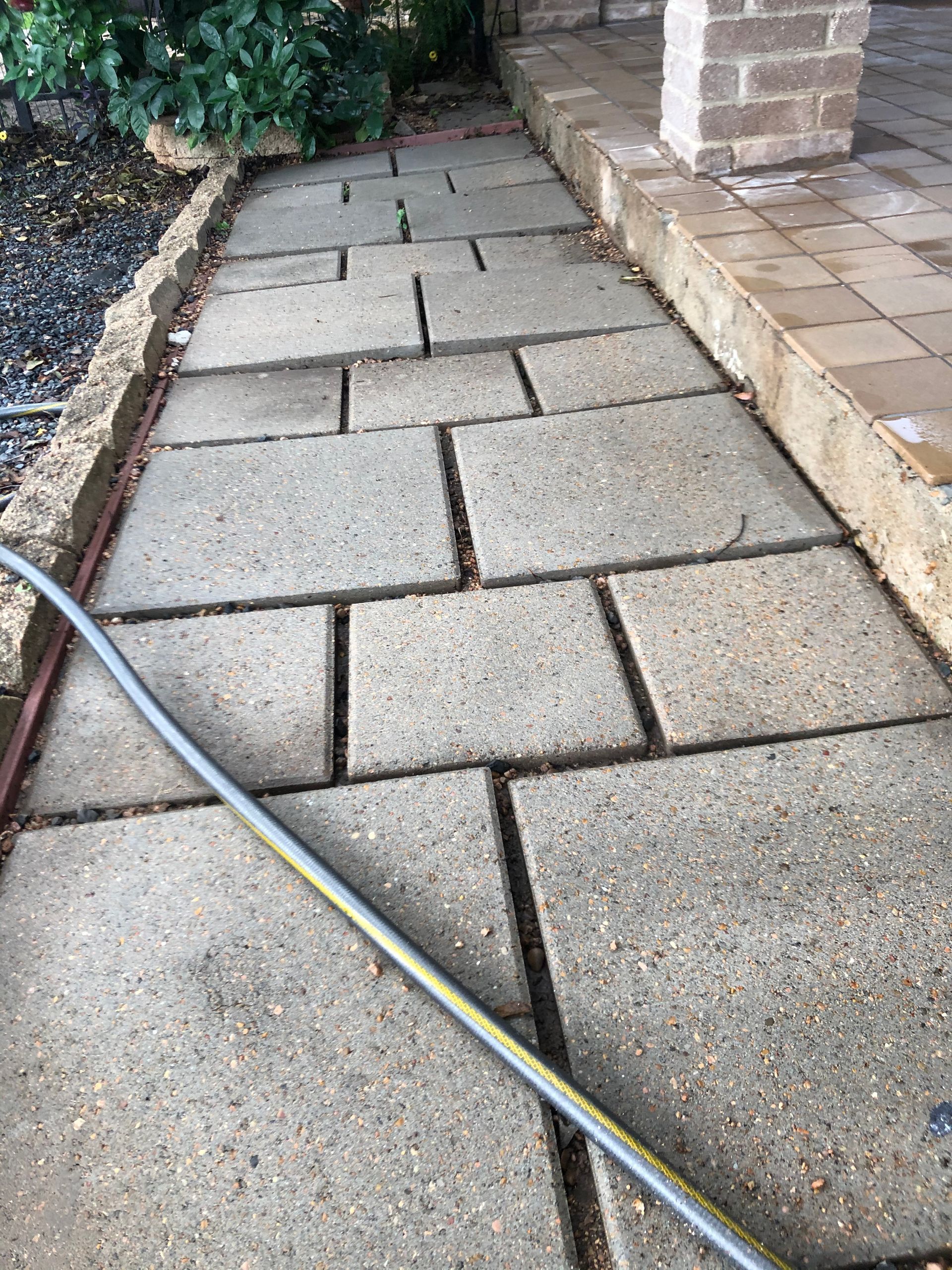 Concrete paver walkway beside a brick house, with a garden hose crossing it.