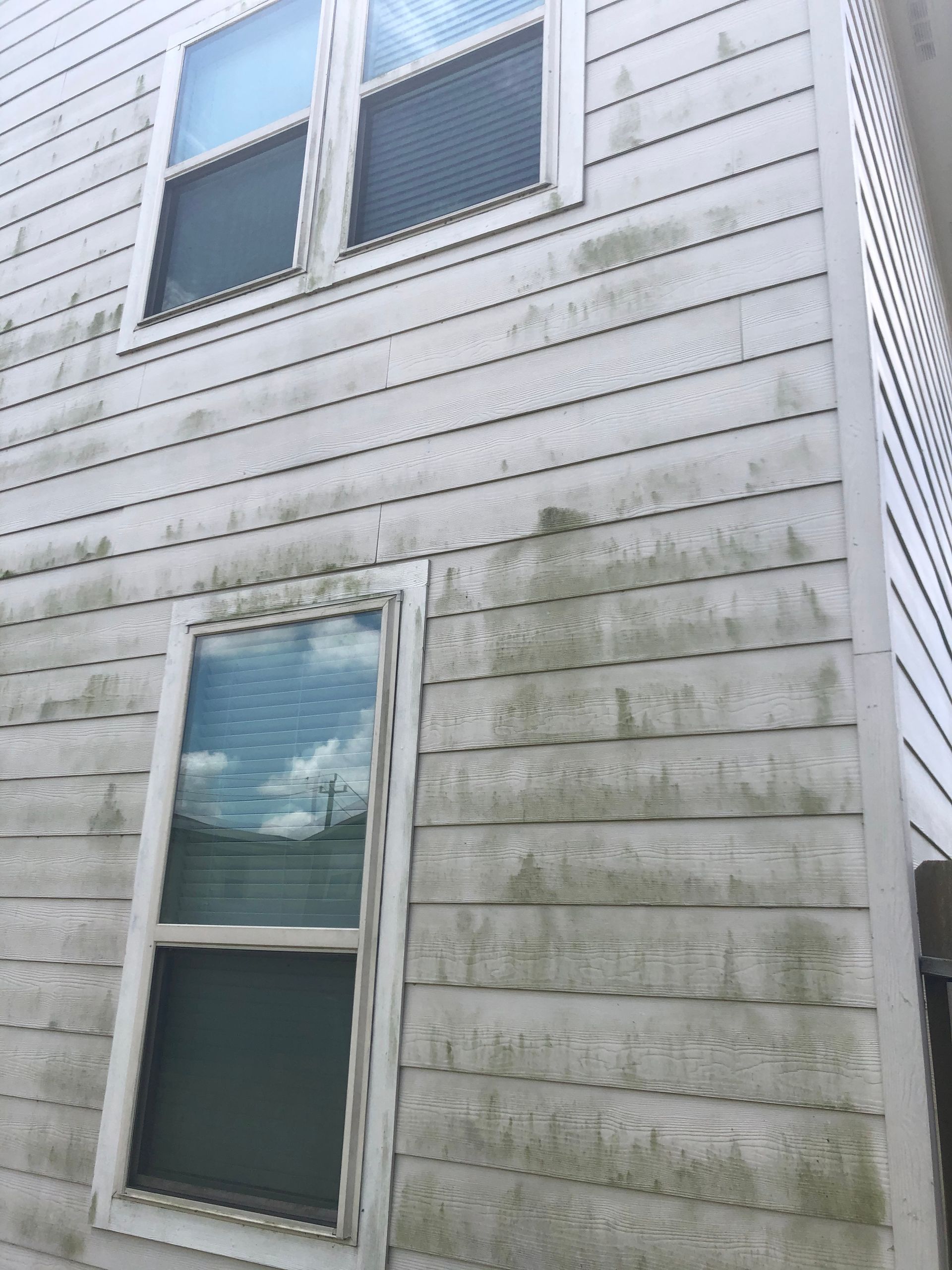 Weathered white house siding with two windows and visible green mold stains on the wall