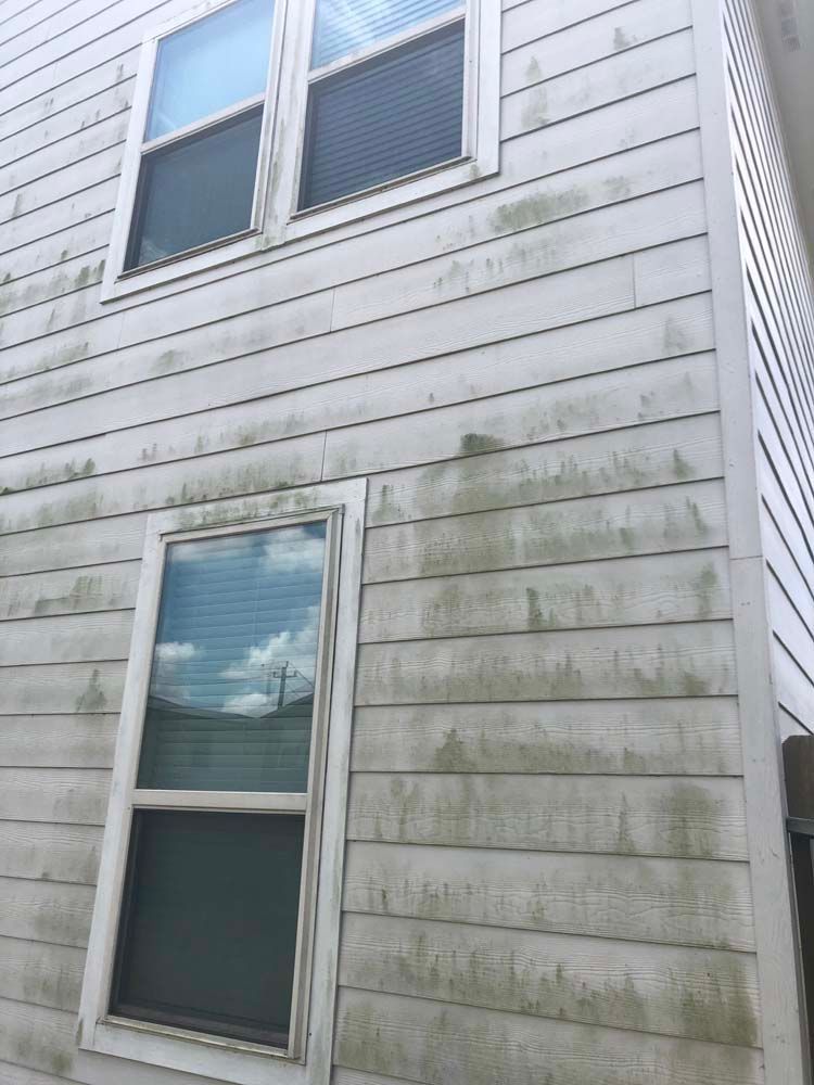 Weathered white house siding with green mildew stains and two windows.