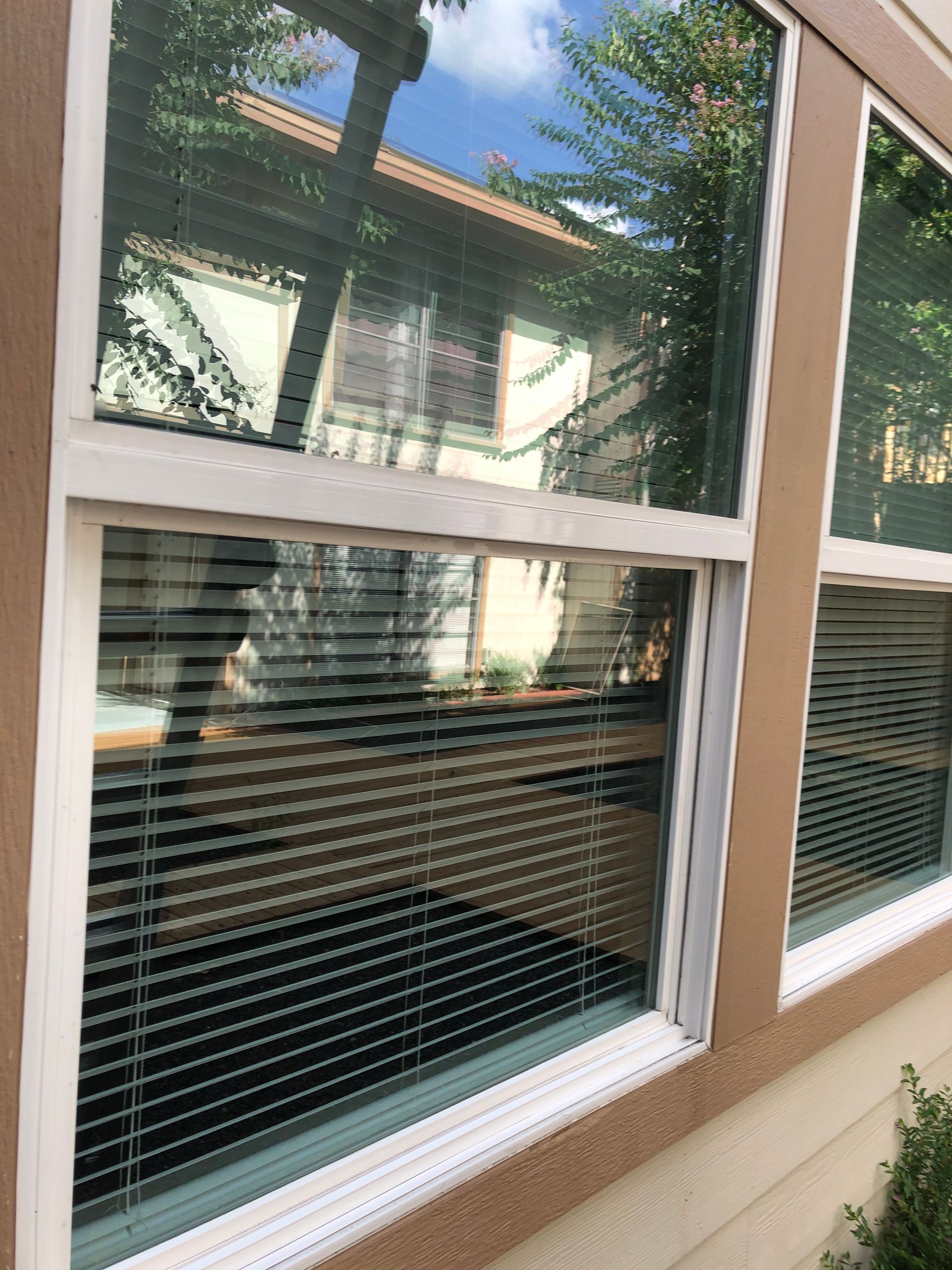 White-framed windows with blinds reflecting trees and a house exterior.