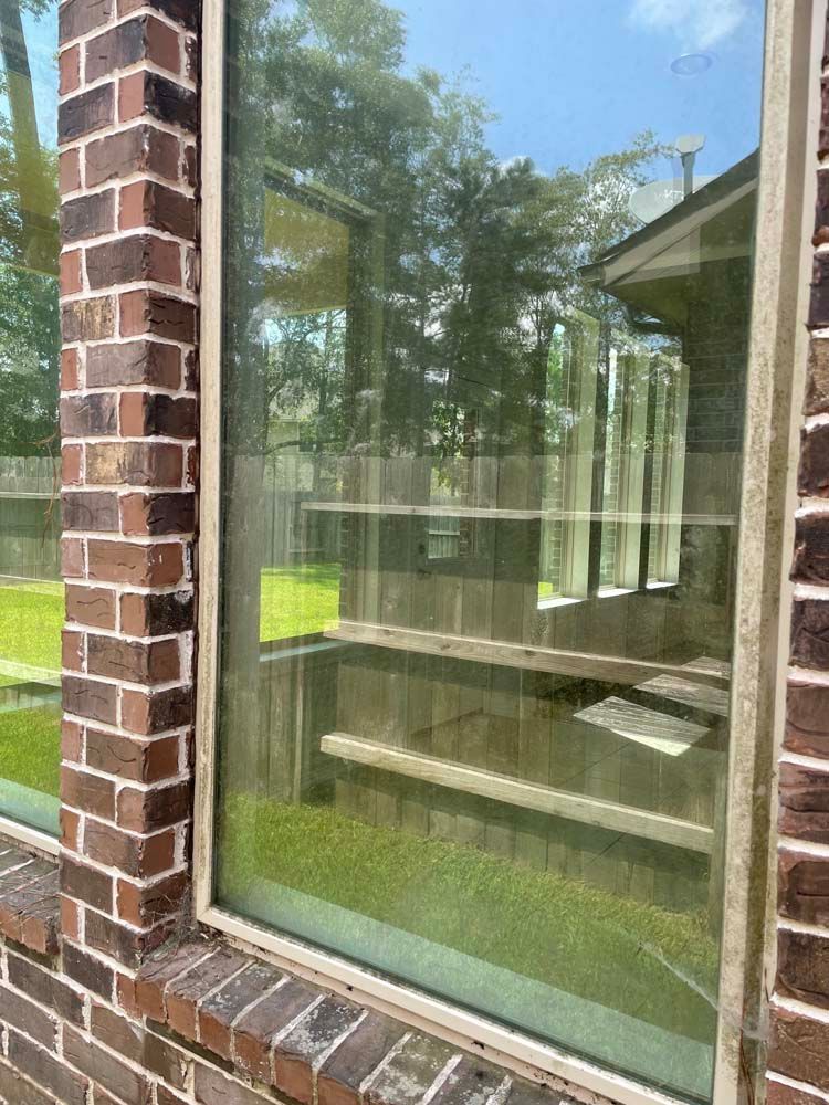Brick-framed window reflecting trees and sky, with indoor shelves visible inside.