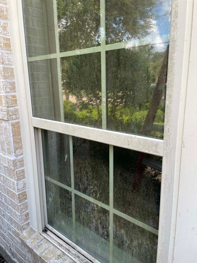 White-framed window with divided panes and a mesh screen, reflecting trees outside.