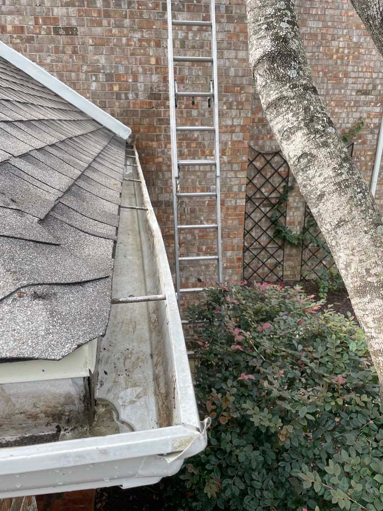 Ladder against brick wall beside roof gutter, with trees and shrubs in the yard