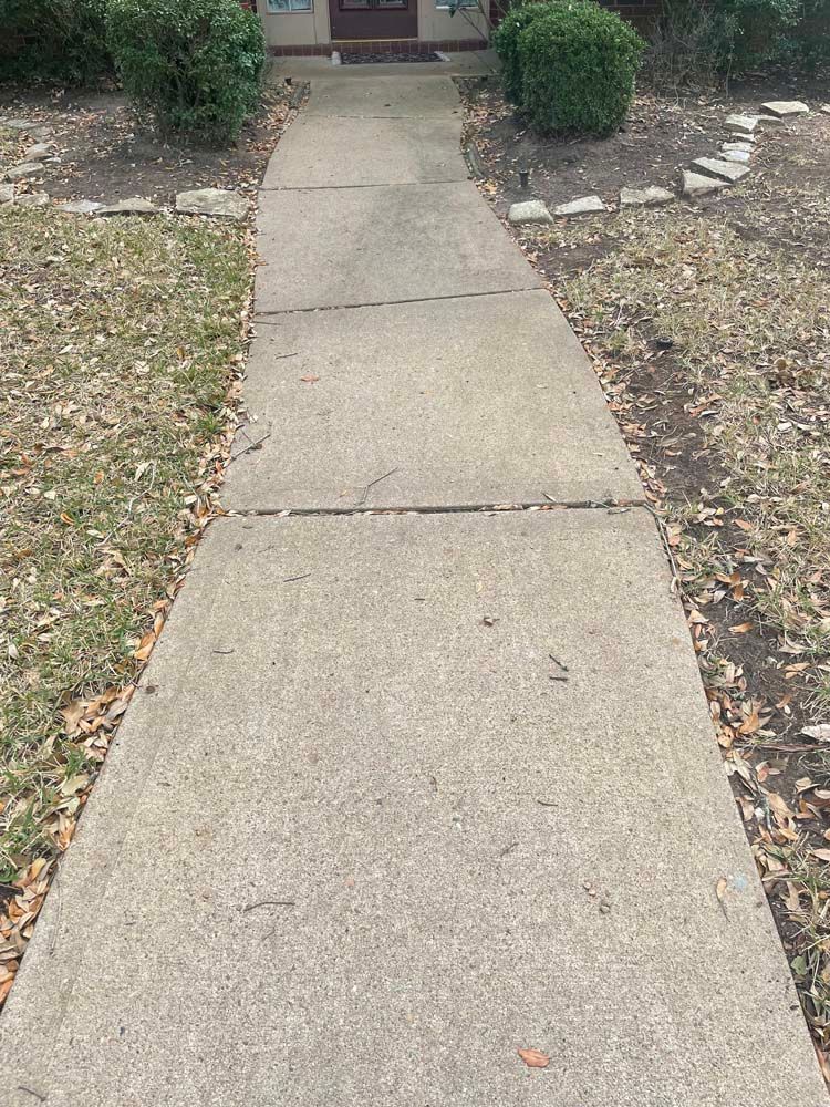 Concrete walkway leading to a house entrance, bordered by mulch, shrubs, and stepping stones.