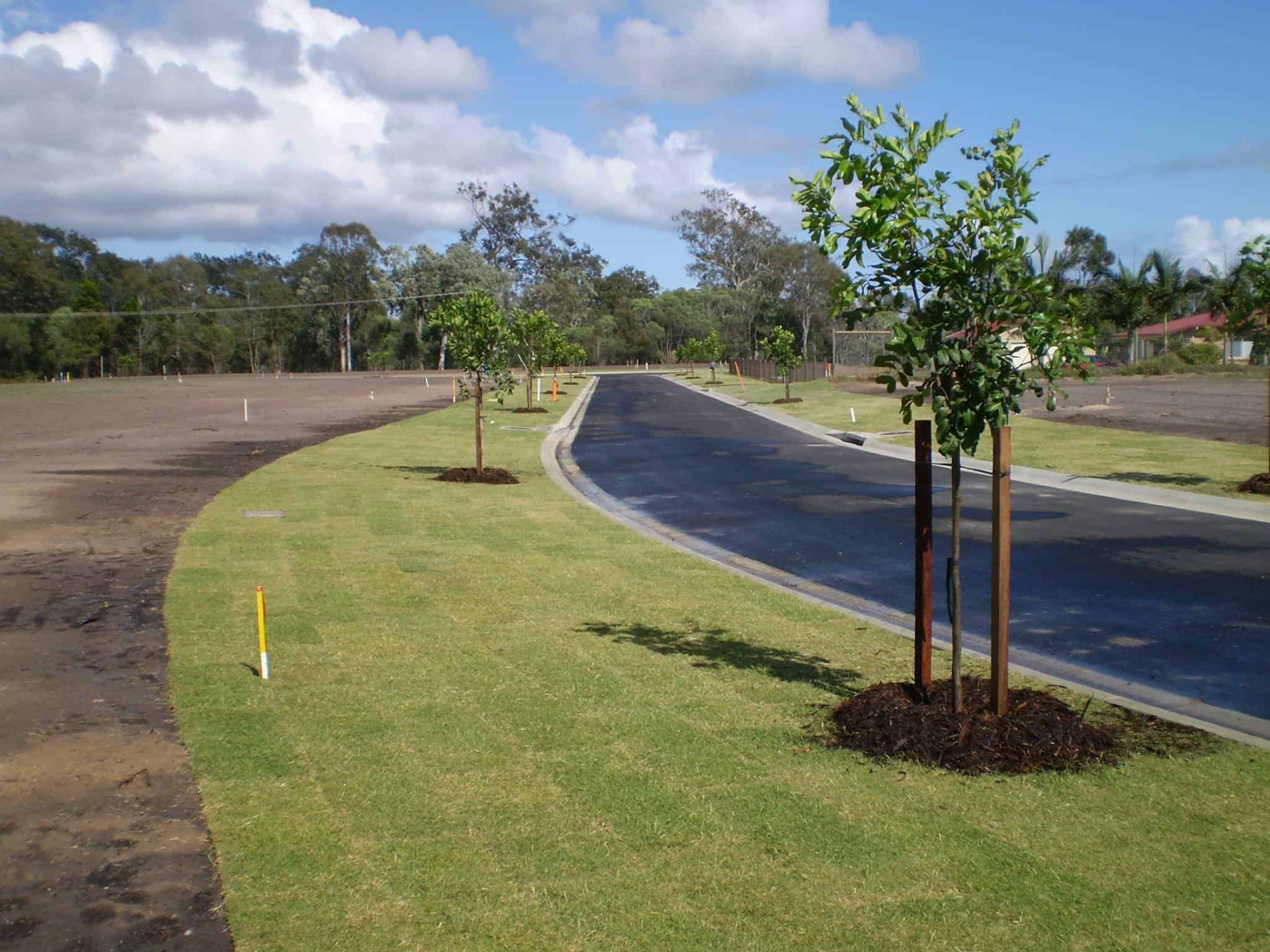 Lawn Care Hervey Bay Wide Bay Turf