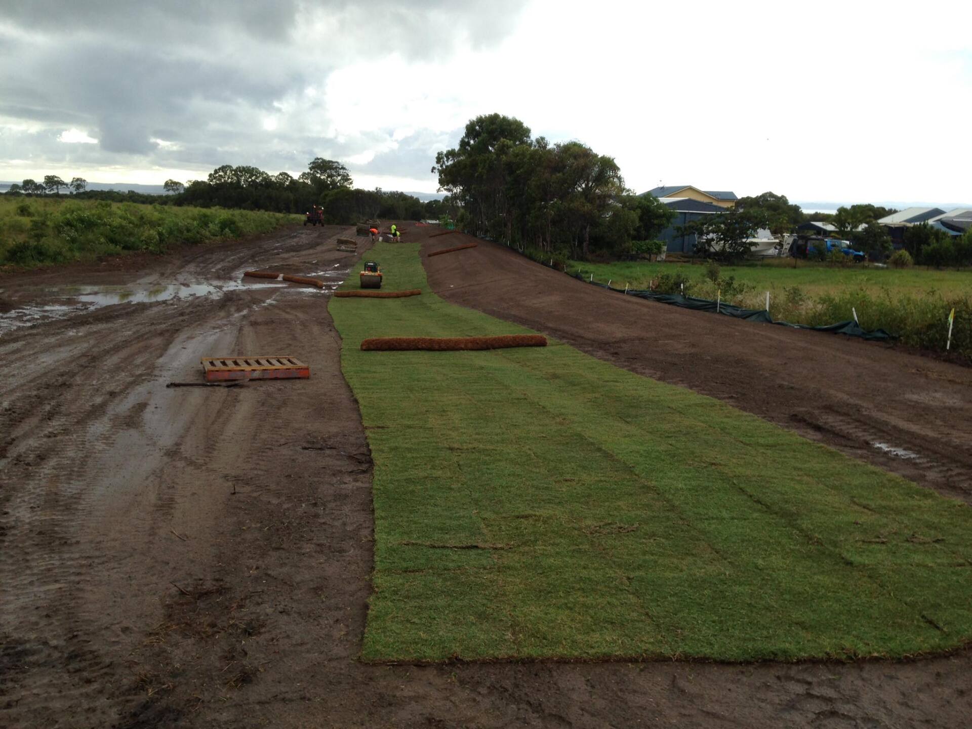 Turf Gympie Turf Near Me Wide Bay Turf