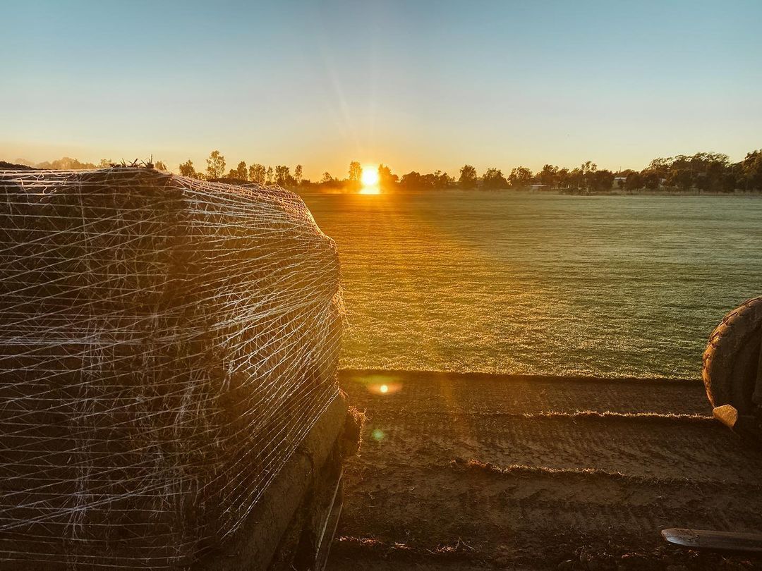 Turf Delivery Hervey Bay Wide Bay Turf