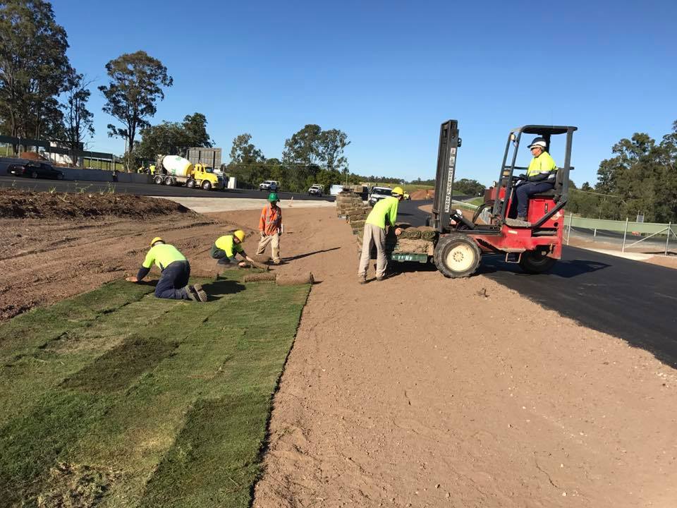 Palmetto Turf Wide Bay Turf Hervey Bay