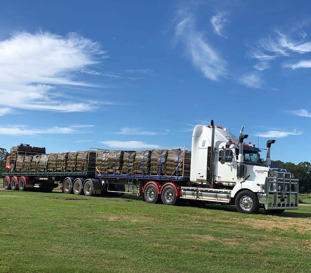 Turf Experts Hervey Bay Wide Bay Turf
