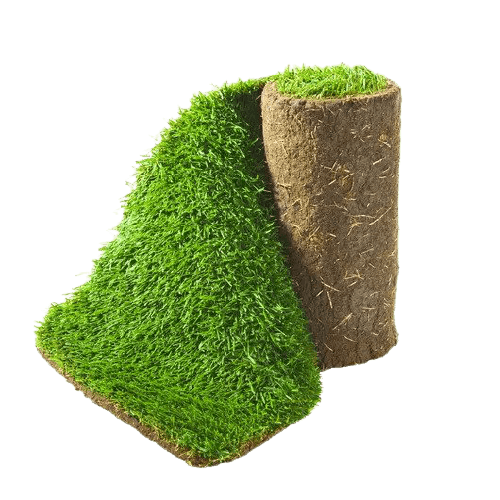 Turf Supply Hervey Bay Wide Bay Turf