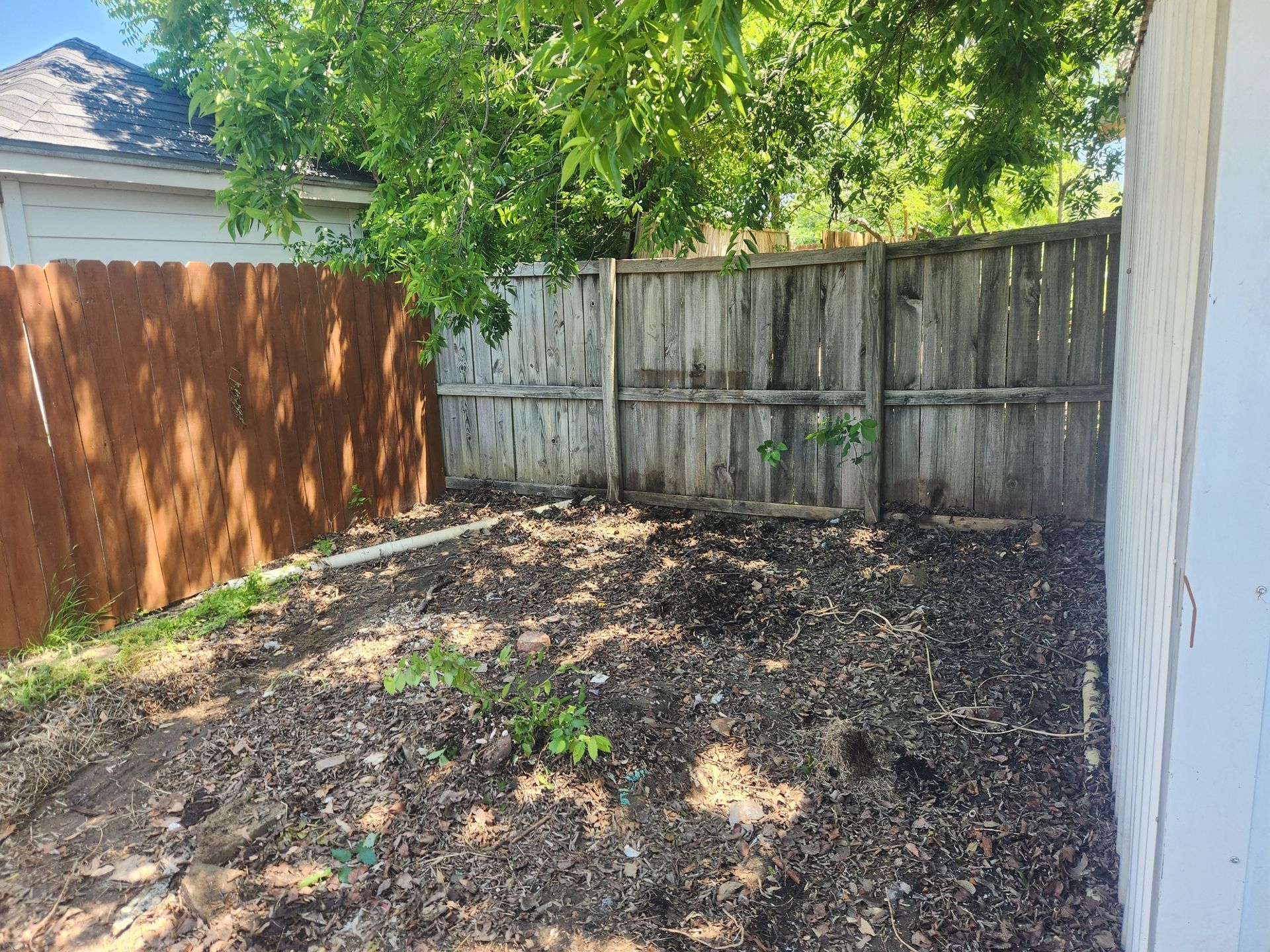 Small backyard with a dirt ground, wooden fences, a tree, and part of a house wall.
