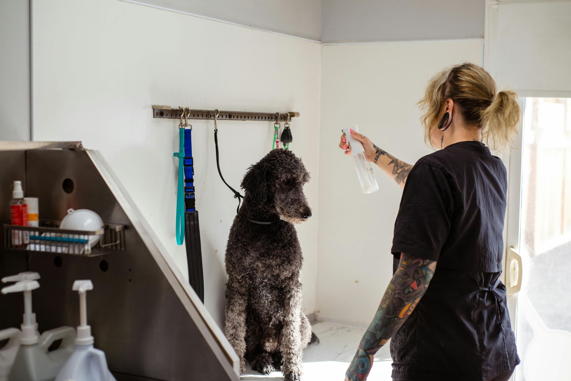 professional pet care services in anderson ca