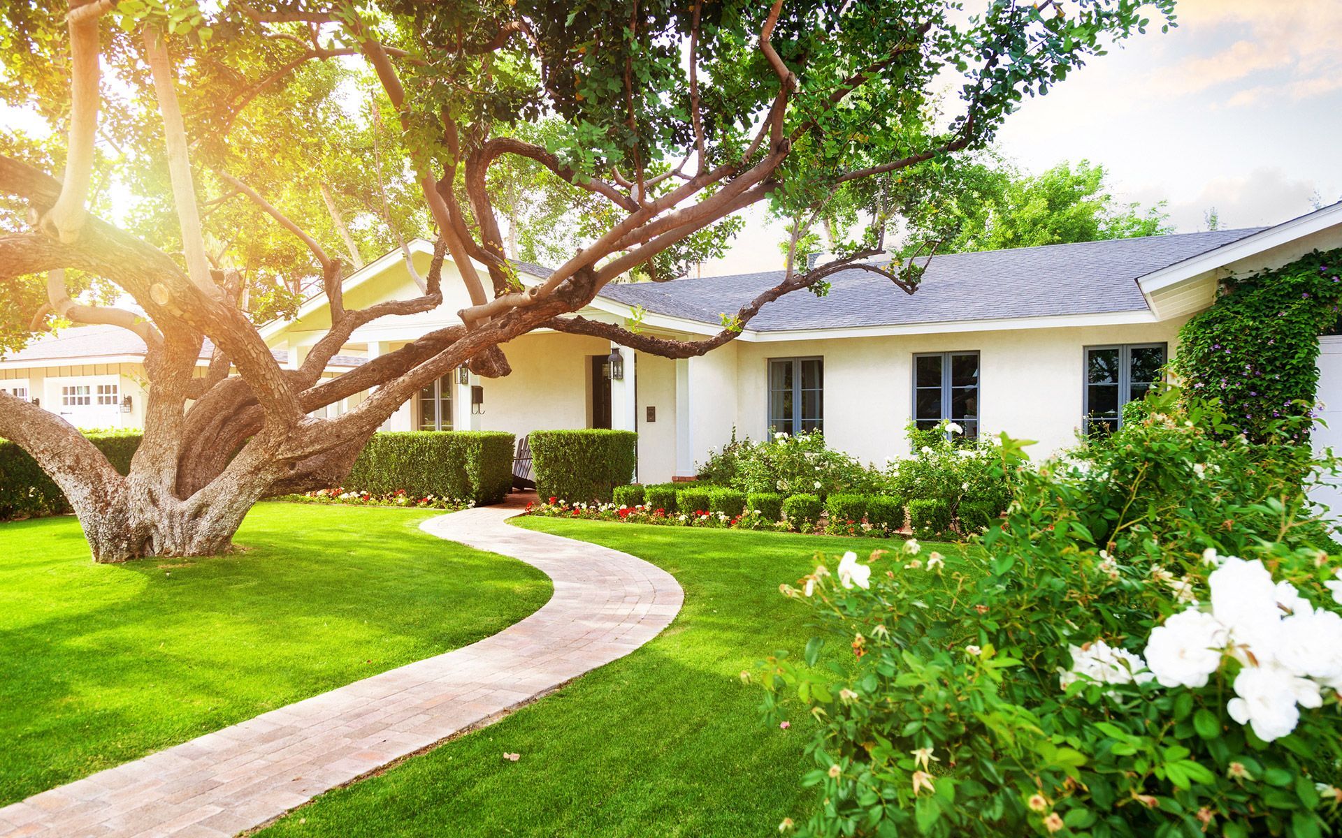 Amazing House And Tree — Wilmer, AL — Coastal Tree Co. Amazing House And Tree — Wilmer, AL — Coastal Tree Co.