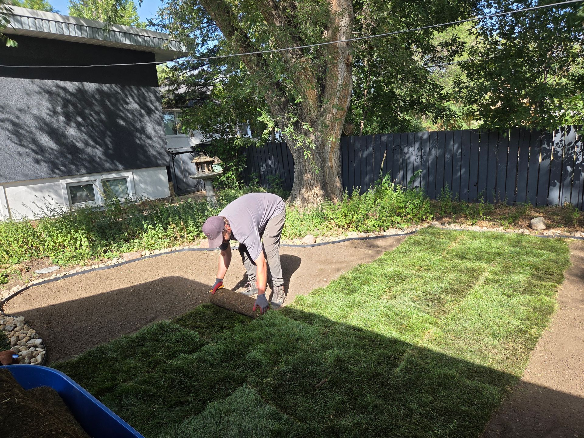 Person spreading soil in a backyard garden beside a lawn and trees.