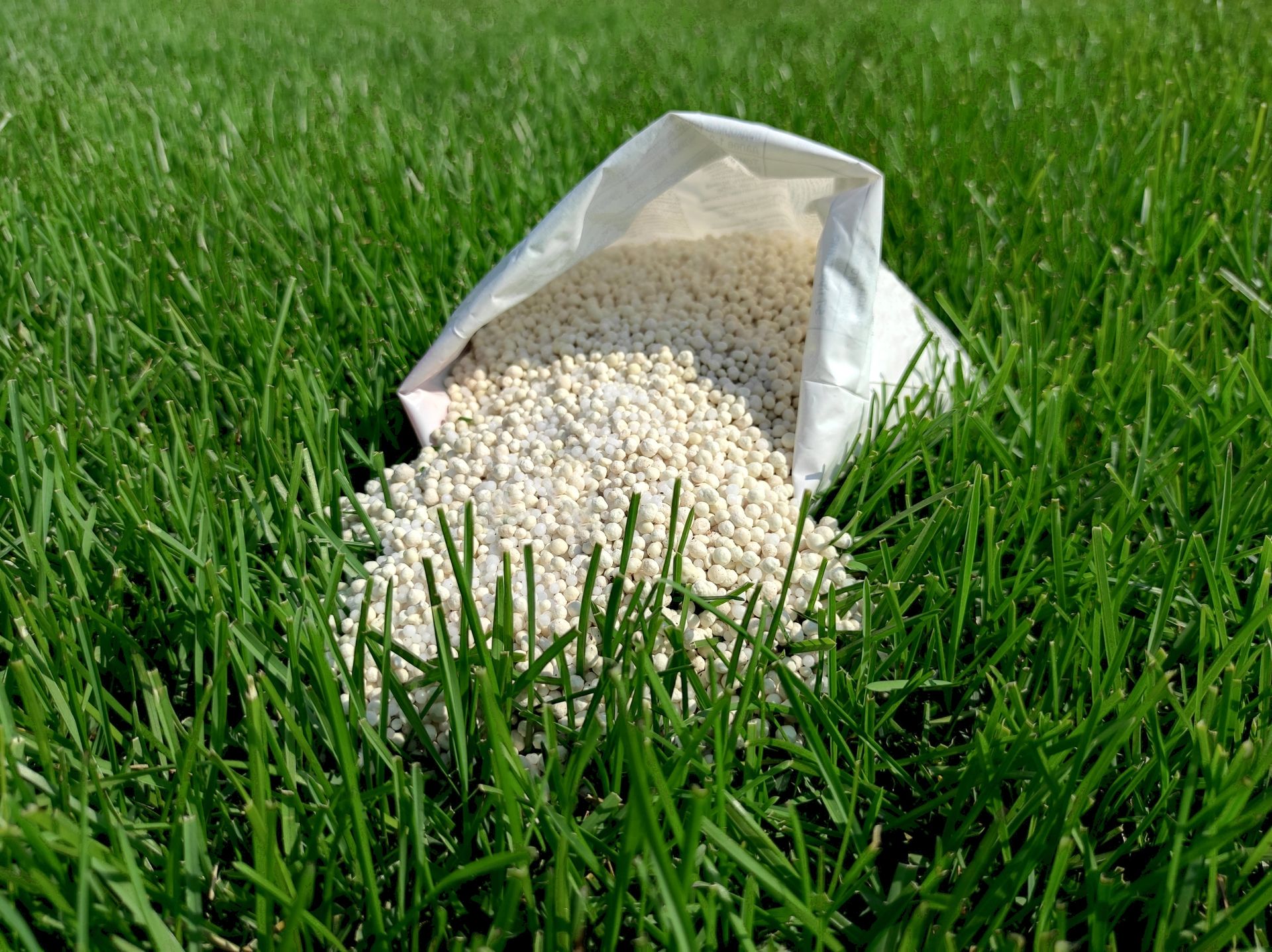 Open bag of white fertilizer granules on green grass