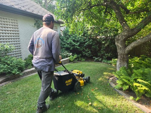 Person mowing a grassy backyard with a push mower beside a house and trees