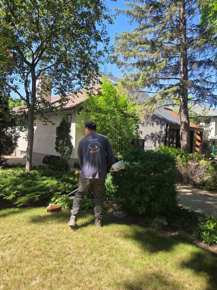 Person standing in a sunny garden beside a house and shrubs