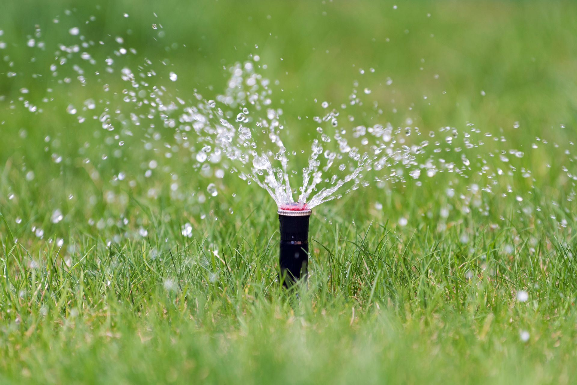 Sprinkler spraying water across a green lawn