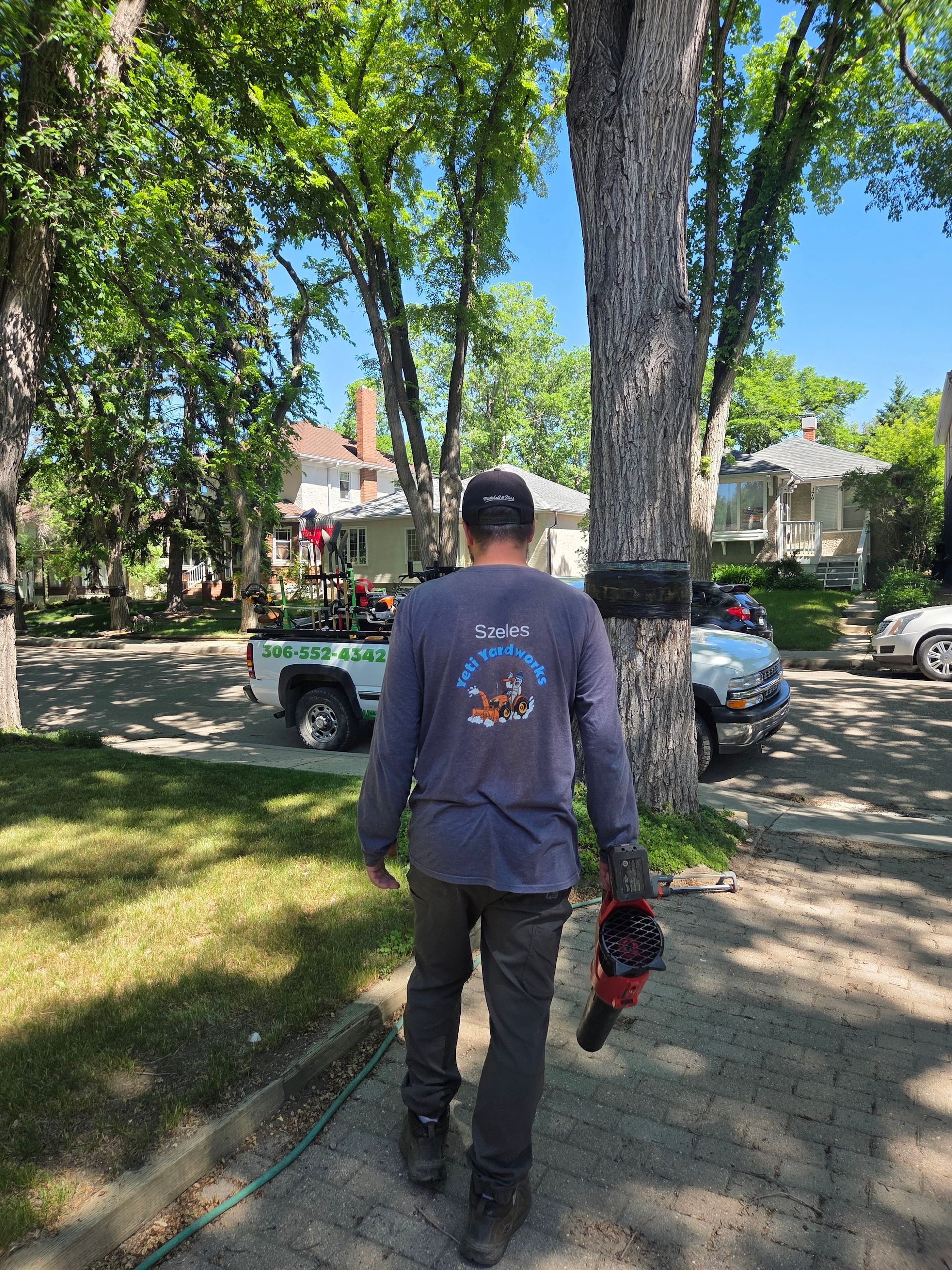 Person walking on a tree-lined sidewalk, carrying a red tool, with parked cars and houses nearby.