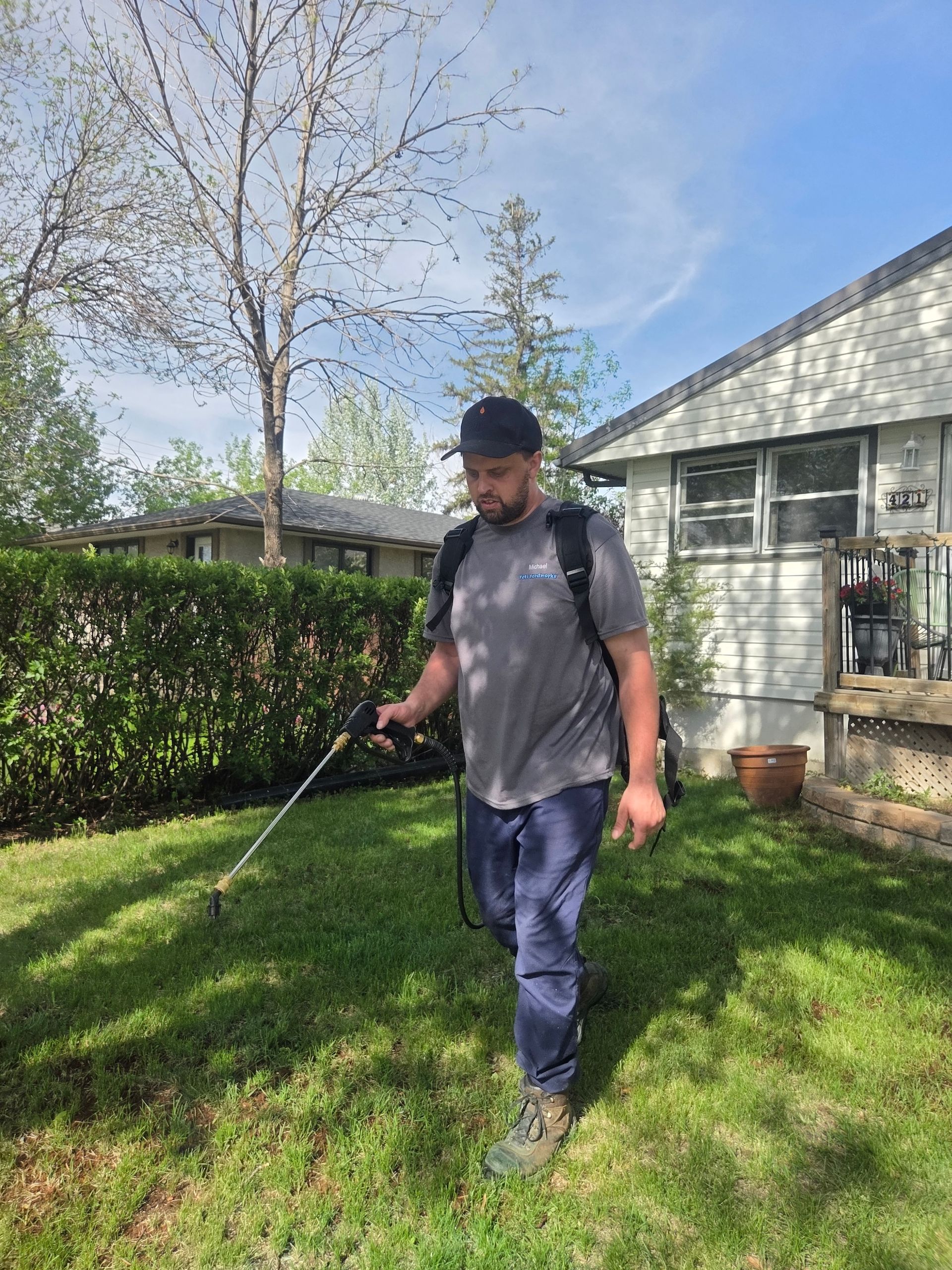 Person mowing a sunny backyard lawn beside a house with a hedge and leafless tree.