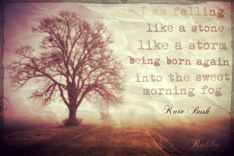 Bare tree in misty field with Kate Bush quote about falling.