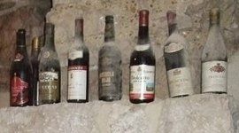 vini molisani