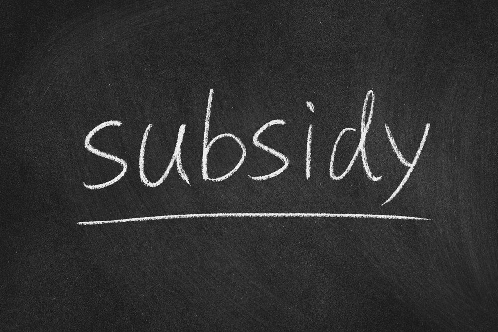 Subsidy Concept — Emu Park, QLD — Coastal Kids