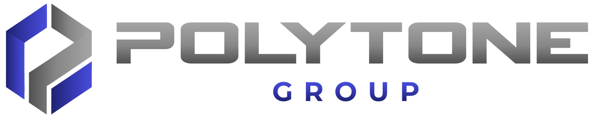 Polyton Group logo with gray and blue geometric icon and text on white background