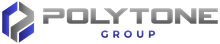Polyton Group logo with gray and blue geometric icon and text on white background