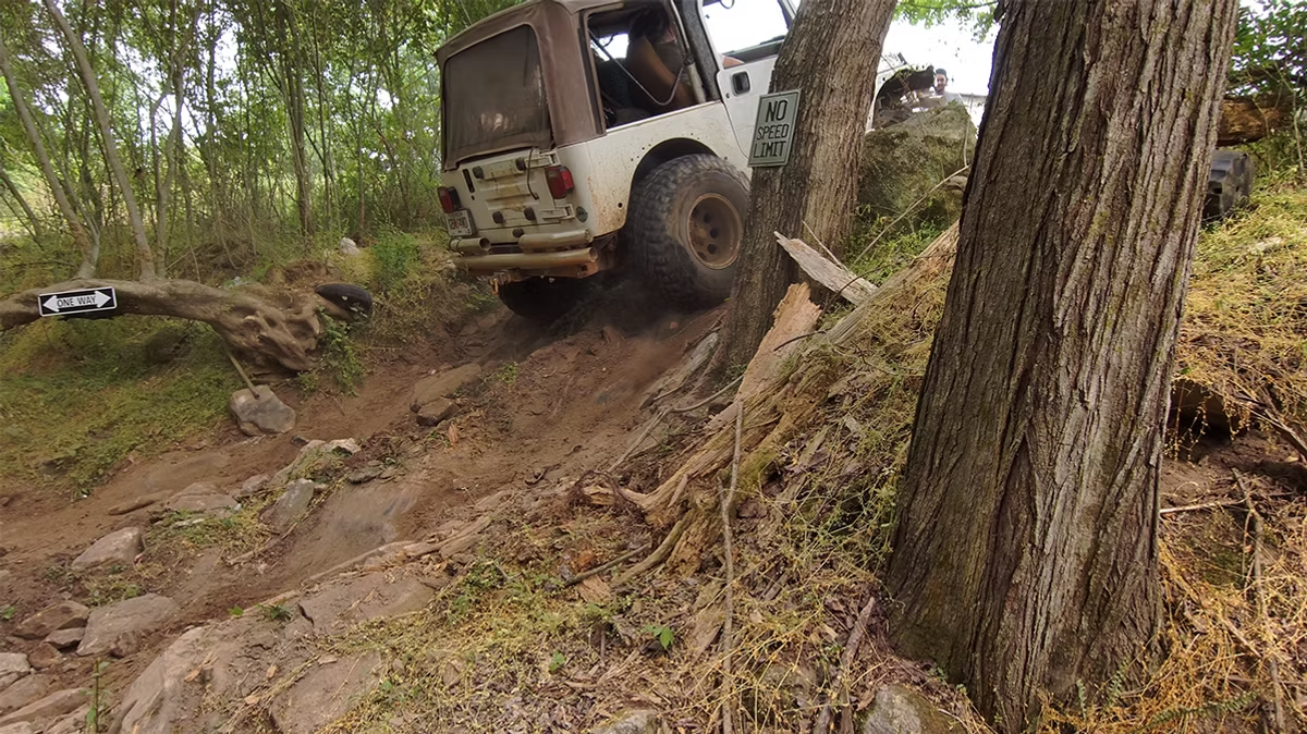 A jeep is driving down a dirt road next to a tree.