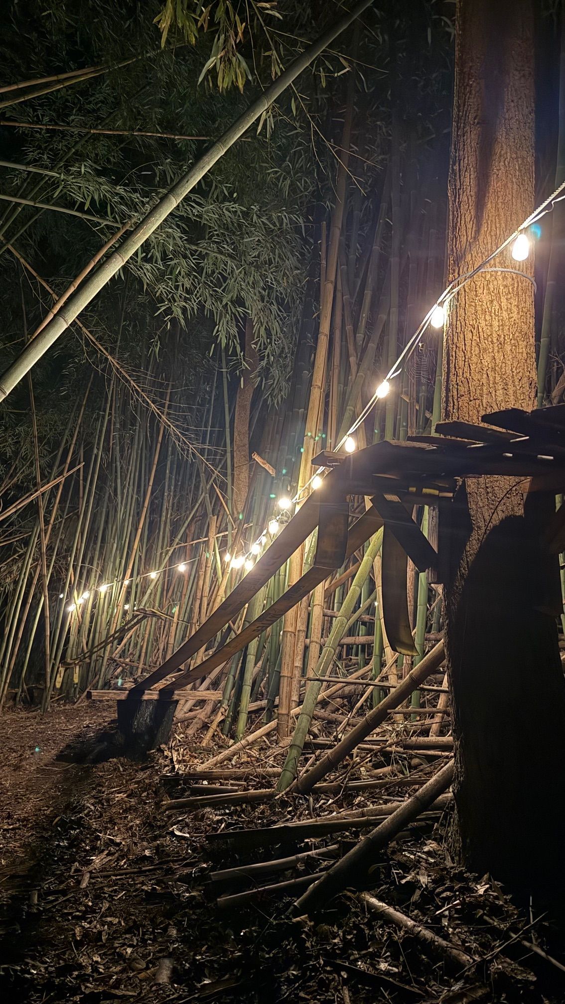 Nighttime view of a bamboo staircase lit by warm string lights in a wooded area