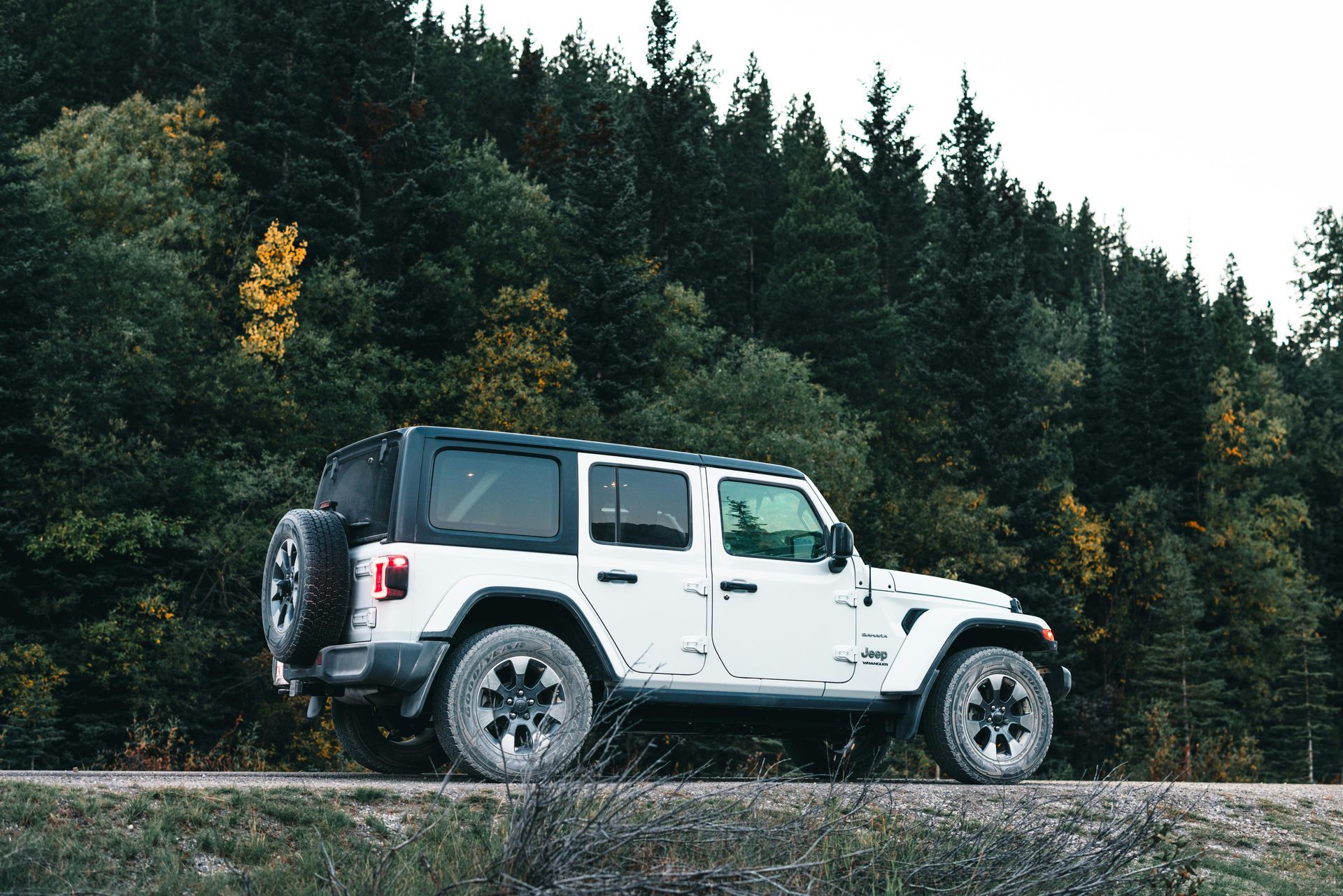 White Jeep Wrangler parked on a road with a forest backdrop.