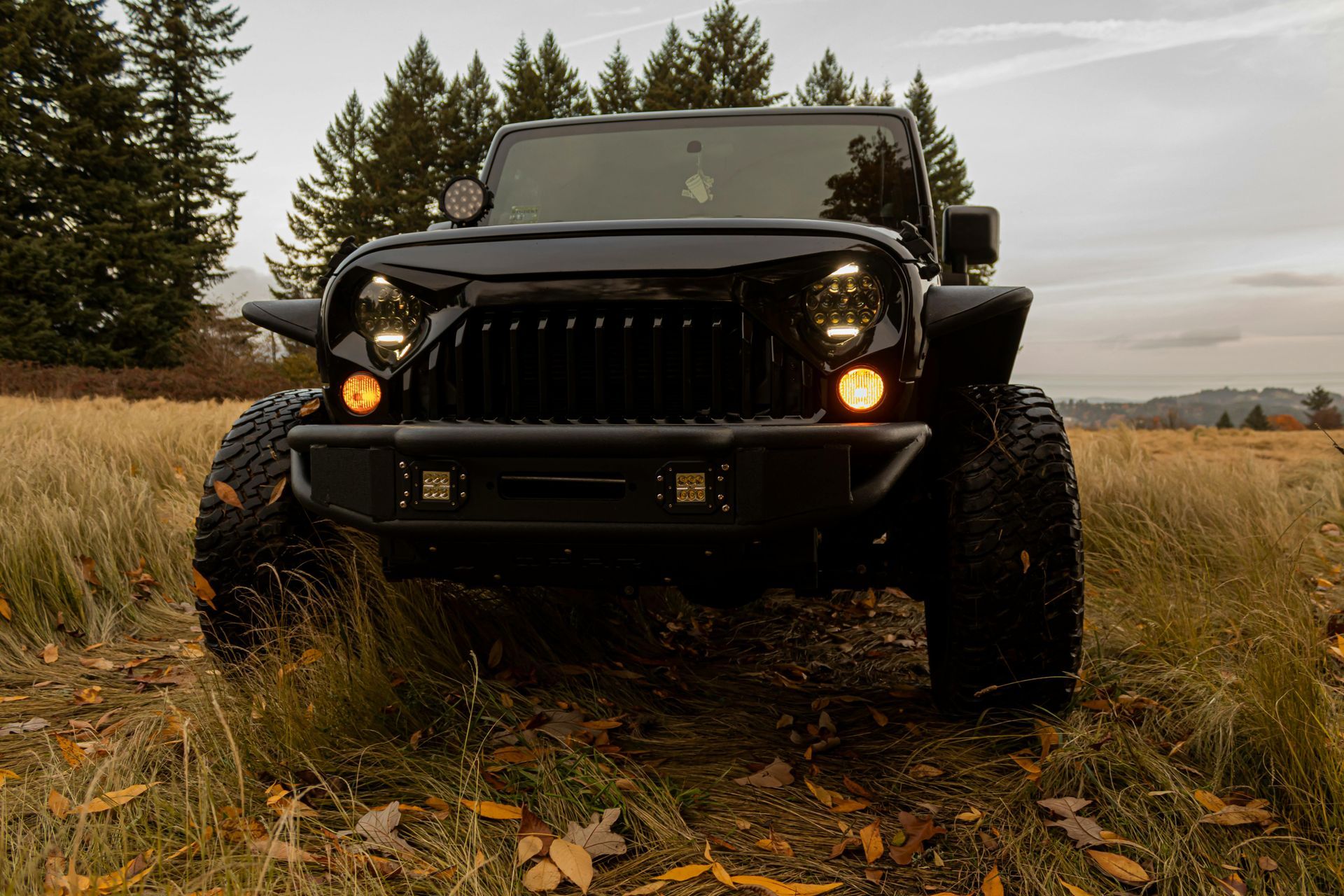 Black Jeep parked in a grassy field, facing the viewer. The Jeep has large tires and custom headlights.