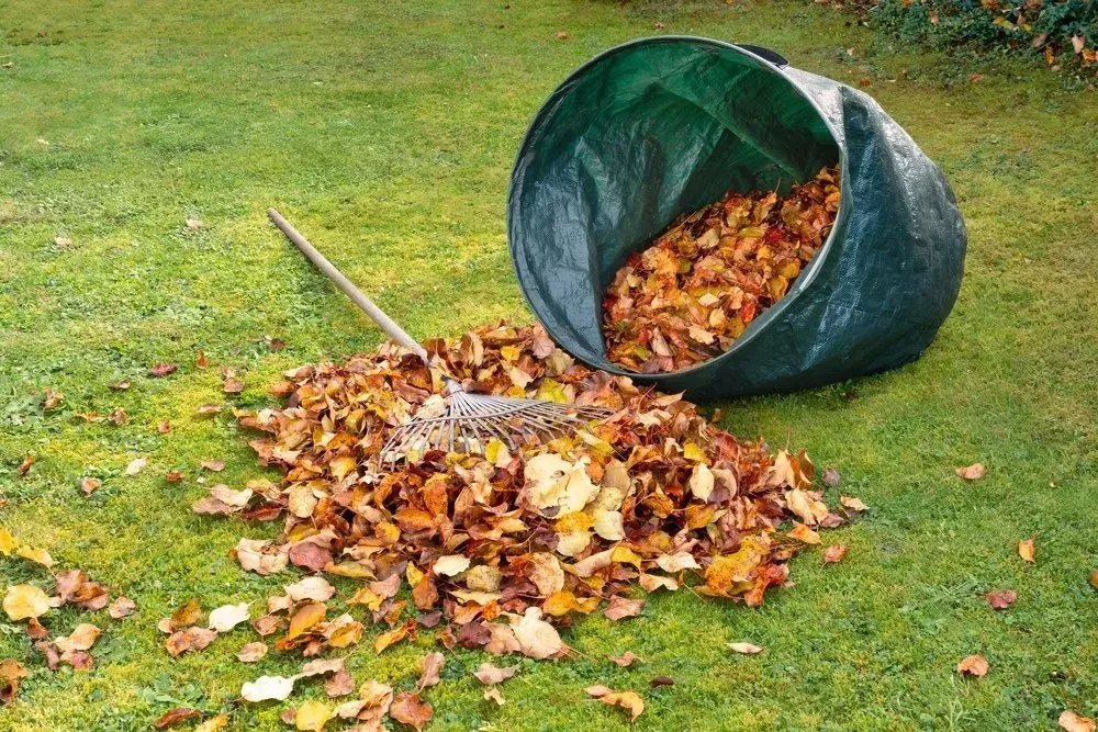 Rake and Pile of Brown Leaves on a Green Lawn — Garden City Slashing in Highfields, QLD