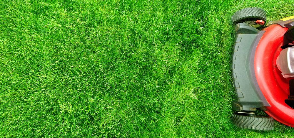 Red Lawn Mower Cutting Lush Green Grass — Garden City Slashing in Highfields, QLD