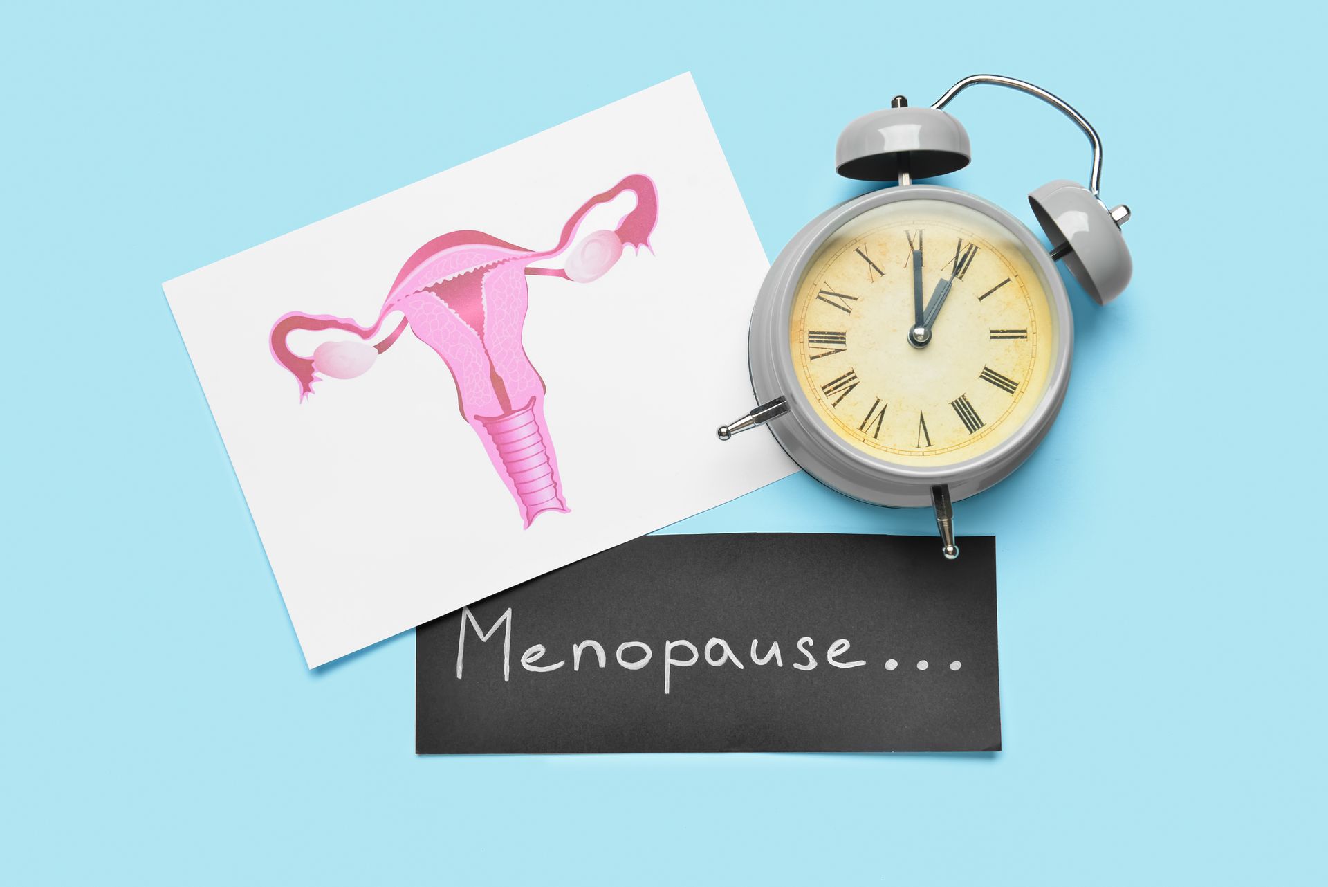 Pink uterus diagram and alarm clock above a chalkboard reading “Menopause…”