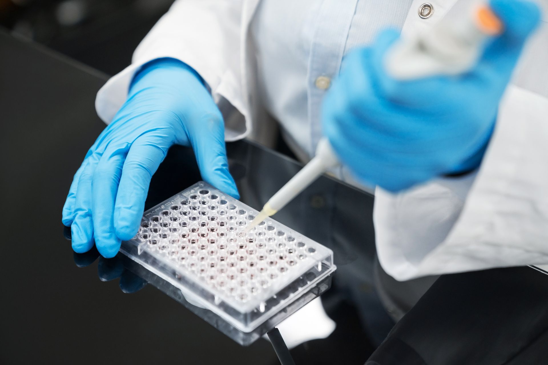 Person in blue gloves using pipette to add liquid to a multi-well plate in a lab setting.