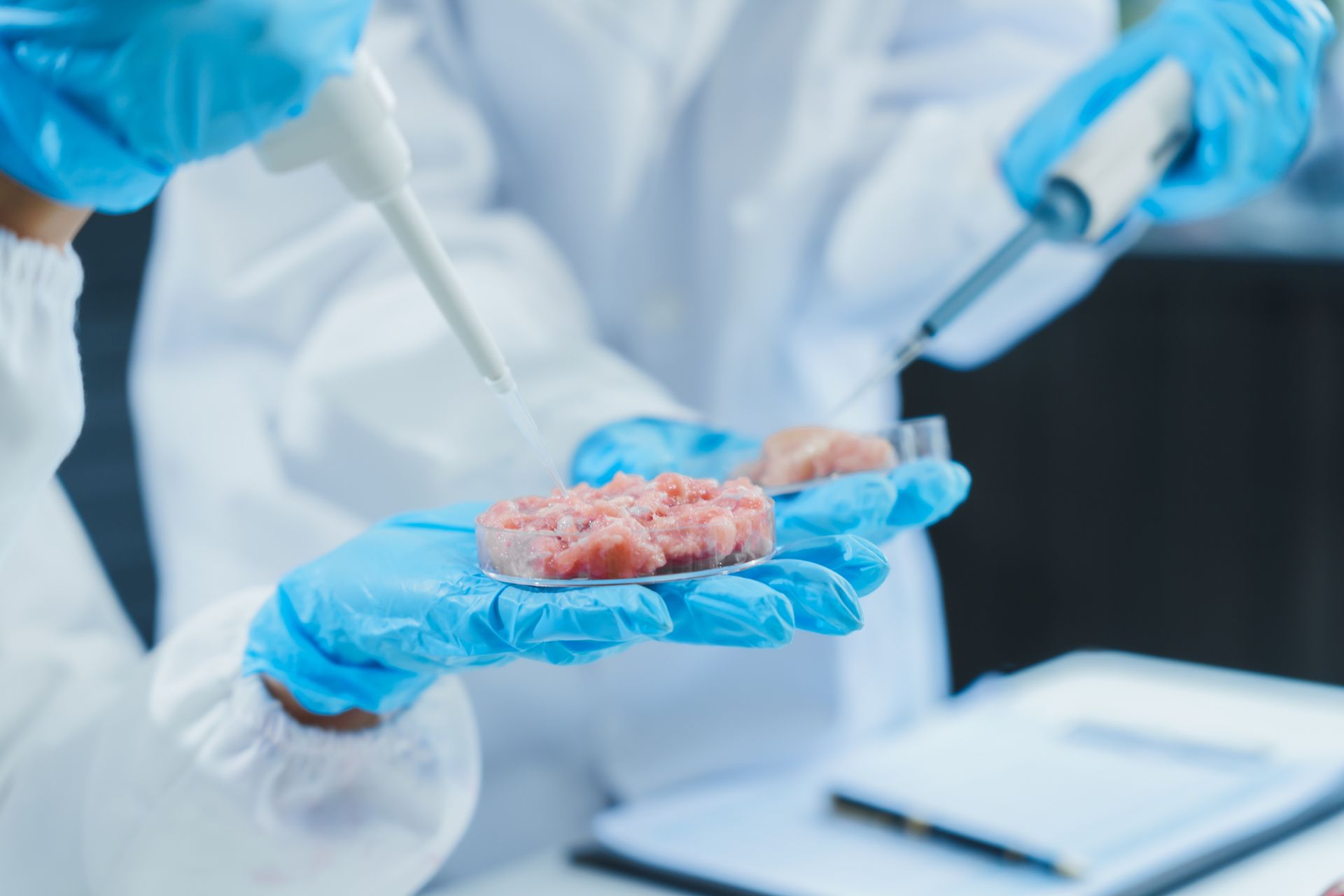Scientists in lab coats and blue gloves examining cell-cultured meat samples with pipettes.