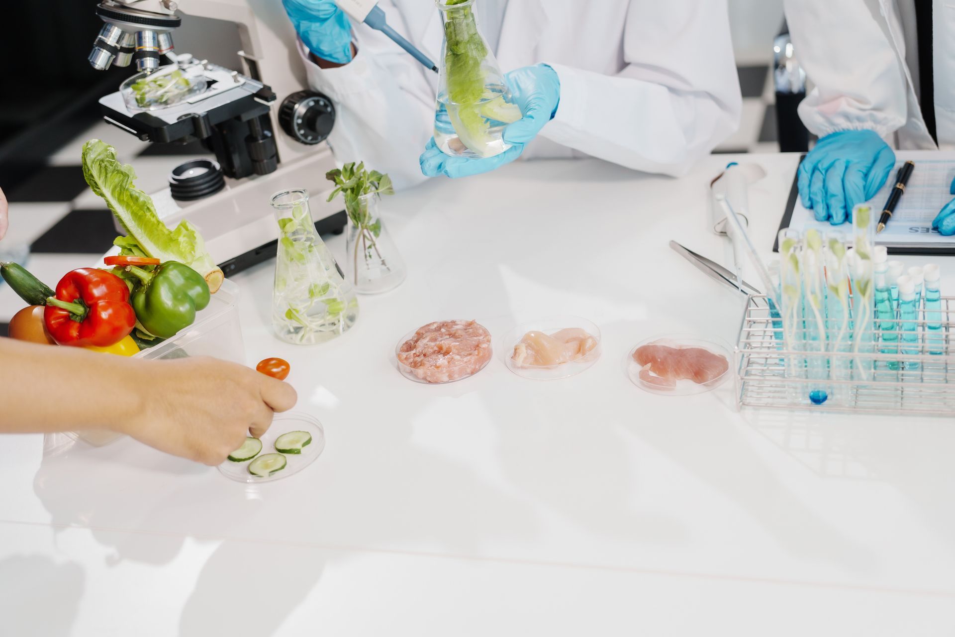 Scientists examining food samples in a lab; vegetables, meat, test tubes, microscope.