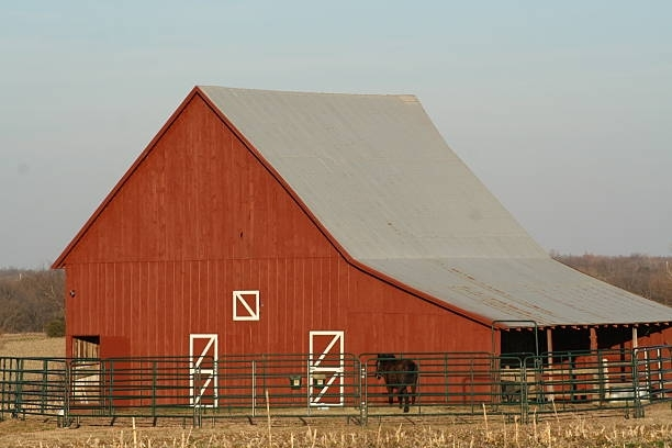 A red barn featuring a metal roof, with a horse calmly standing, showcasing a pole barn company.