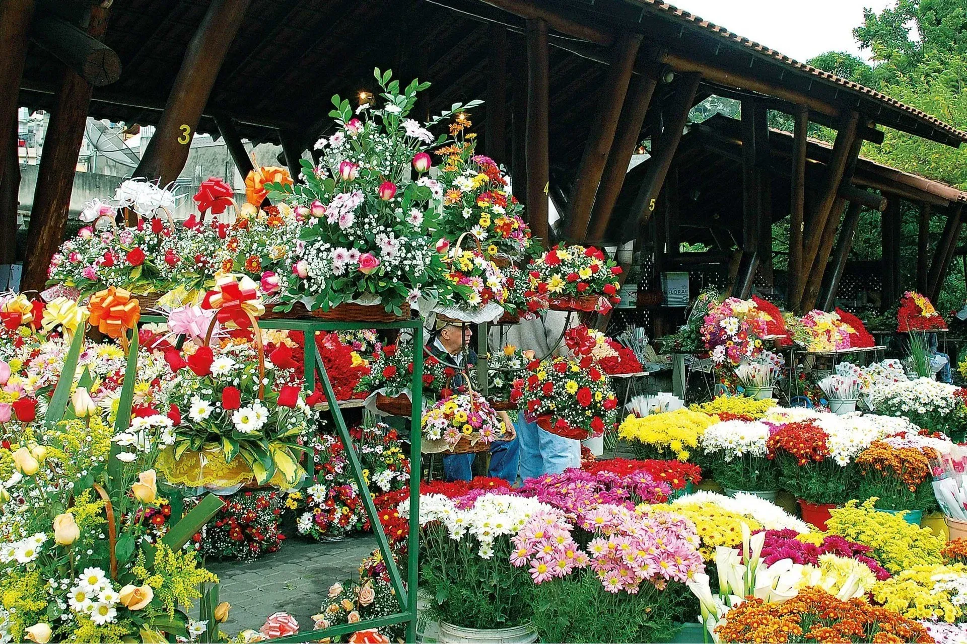 Bancas de mercado de flores coloridas com buquês exuberantes sob um telhado de madeira.