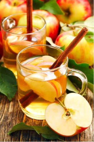 Two glasses of apple cider with cinnamon sticks and apple slices on a rustic table.